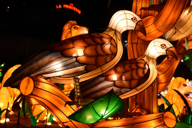 WONDERLAND A magical city of lights